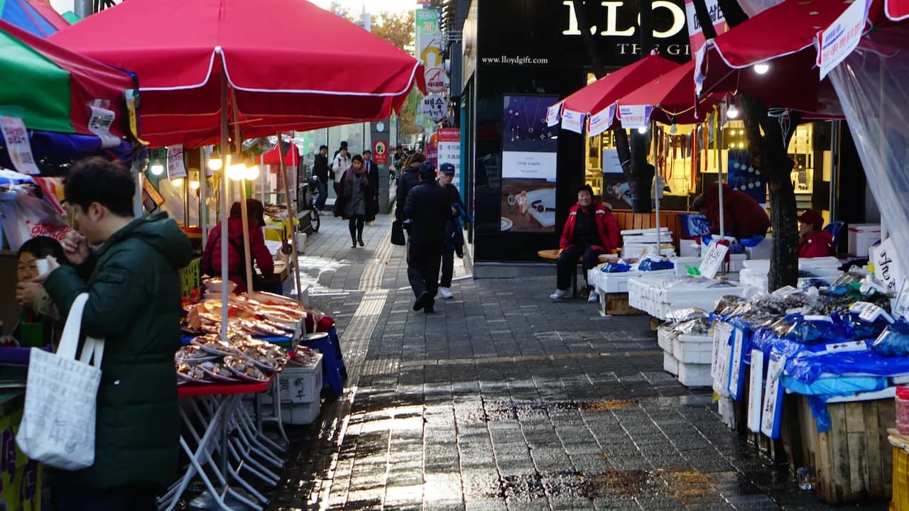 예술해방전선 활동 기록 사진 DSC05035