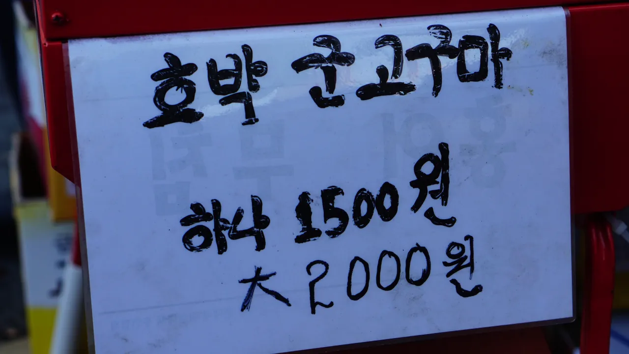 예술해방전선 활동 기록 사진 DSC05048