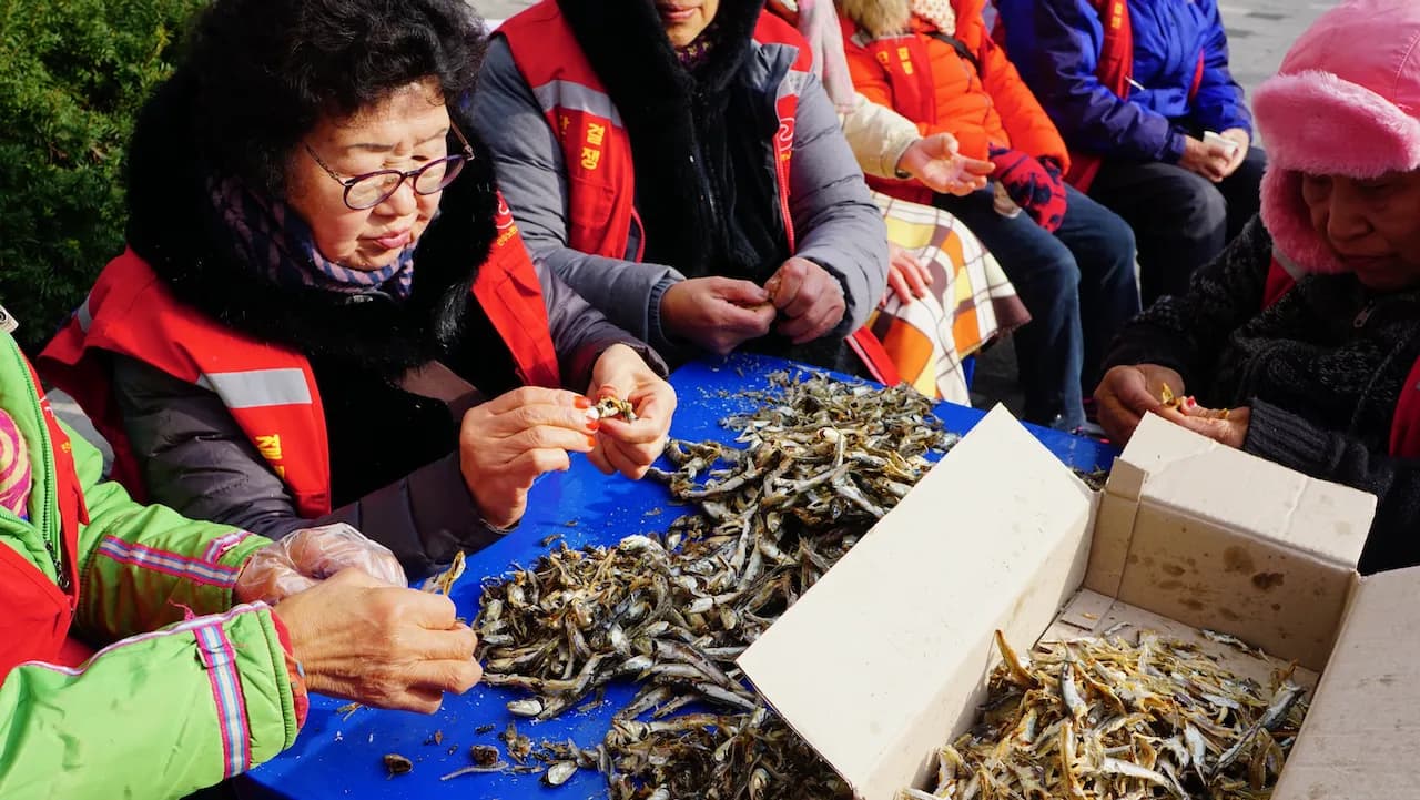 예술해방전선 활동 기록 사진 DSC05205