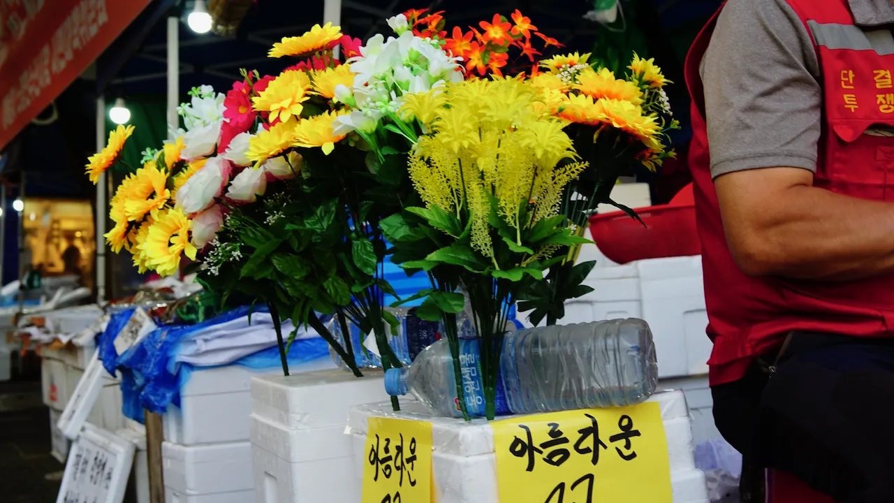 예술해방전선 활동 기록 사진 DSC08105