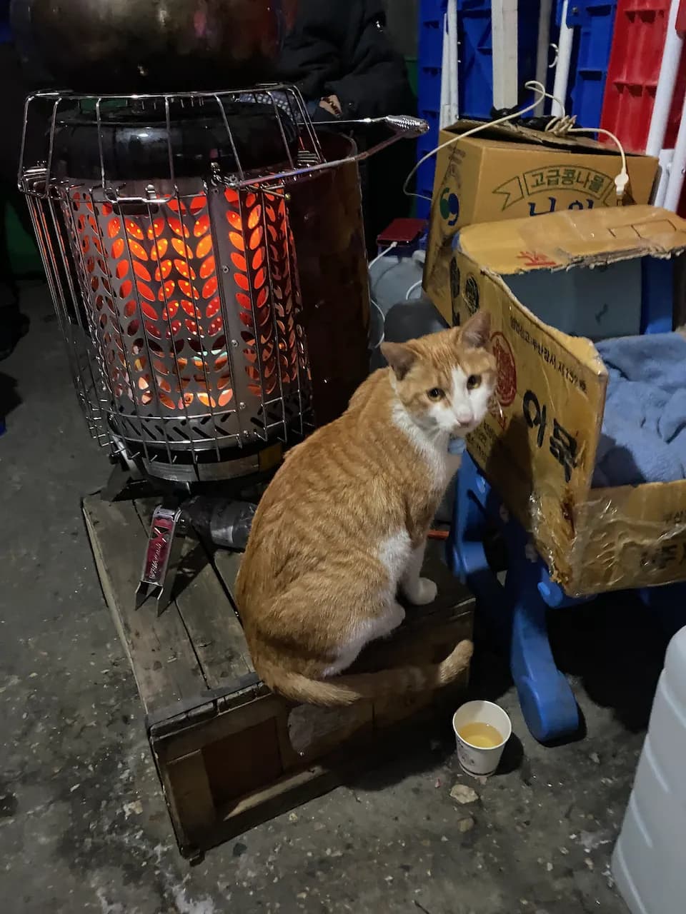 예술해방전선 활동 기록 사진 IMG 2857