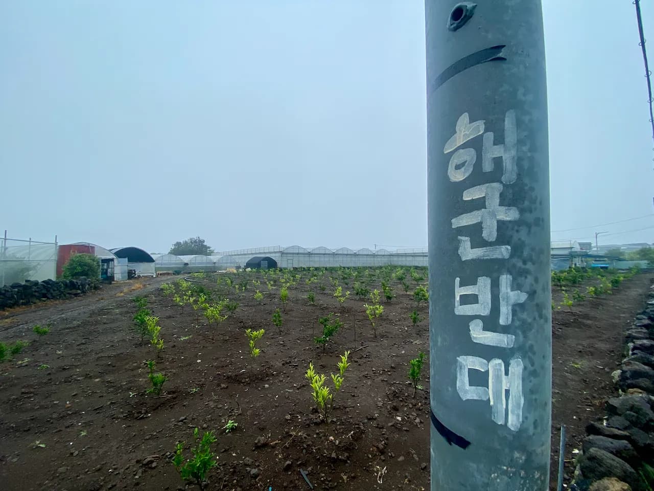 예술해방전선 활동 기록 사진 IMG 5327
