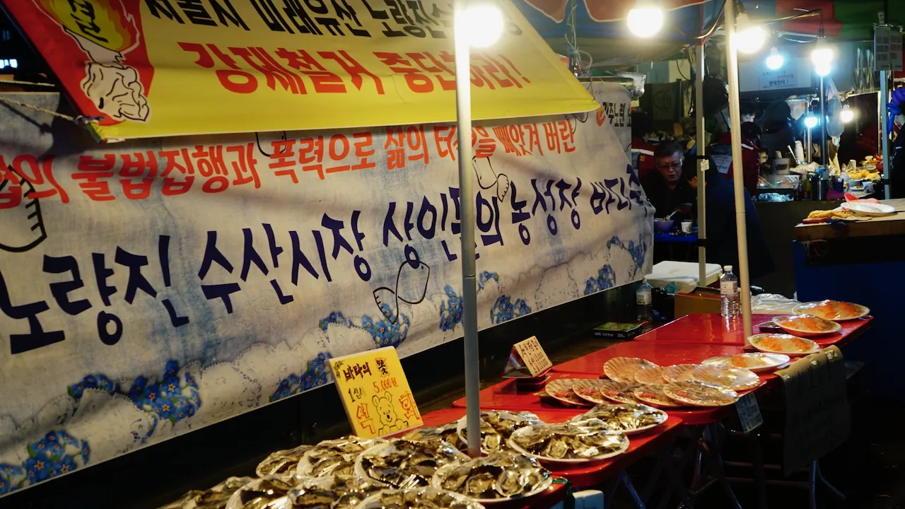 예술해방전선 활동 기록 사진 DSC04899