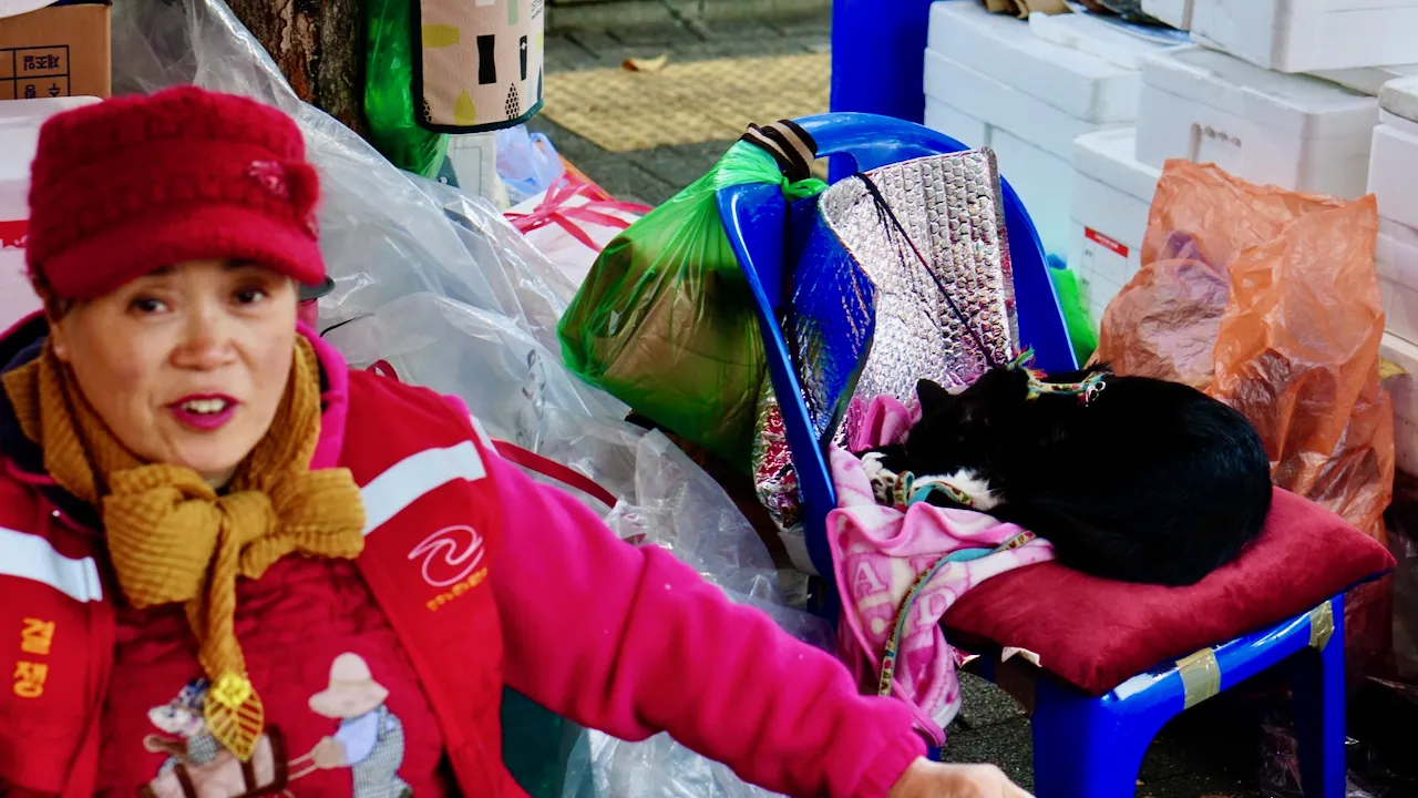 예술해방전선 활동 기록 사진 DSC05038