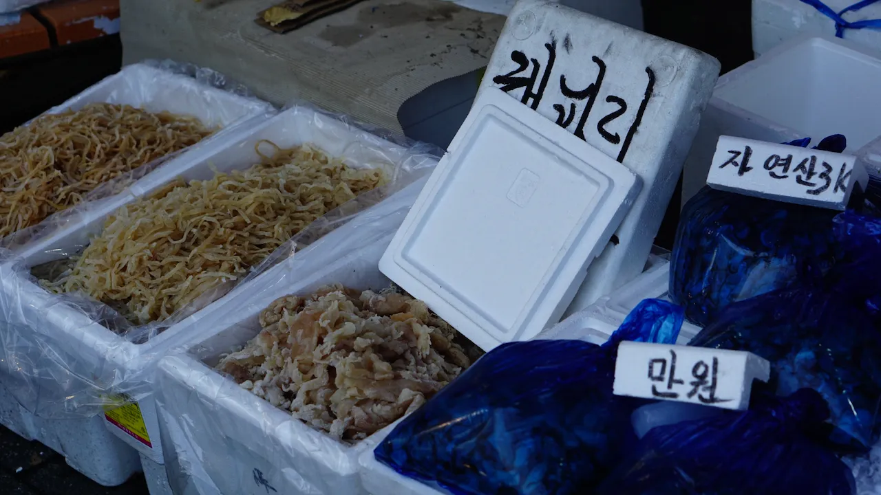 예술해방전선 활동 기록 사진 DSC05040