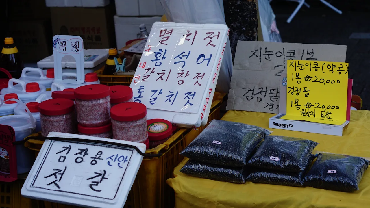 예술해방전선 활동 기록 사진 DSC05050