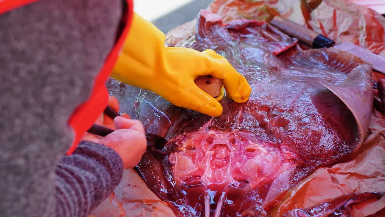 예술해방전선 활동 기록 사진 DSC05217