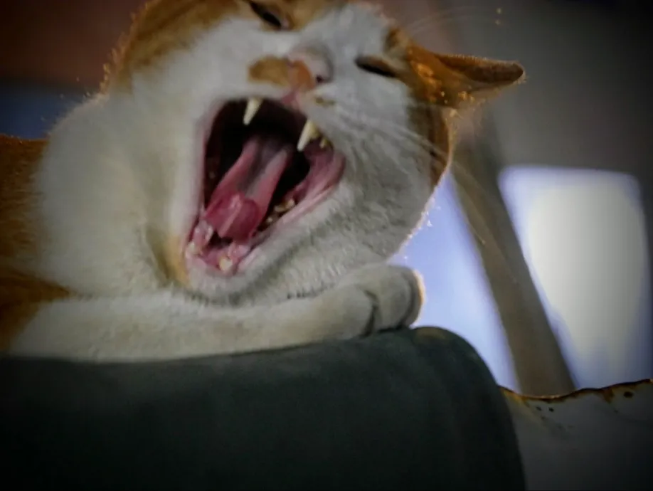 예술해방전선 활동 기록 사진 IMG 1677