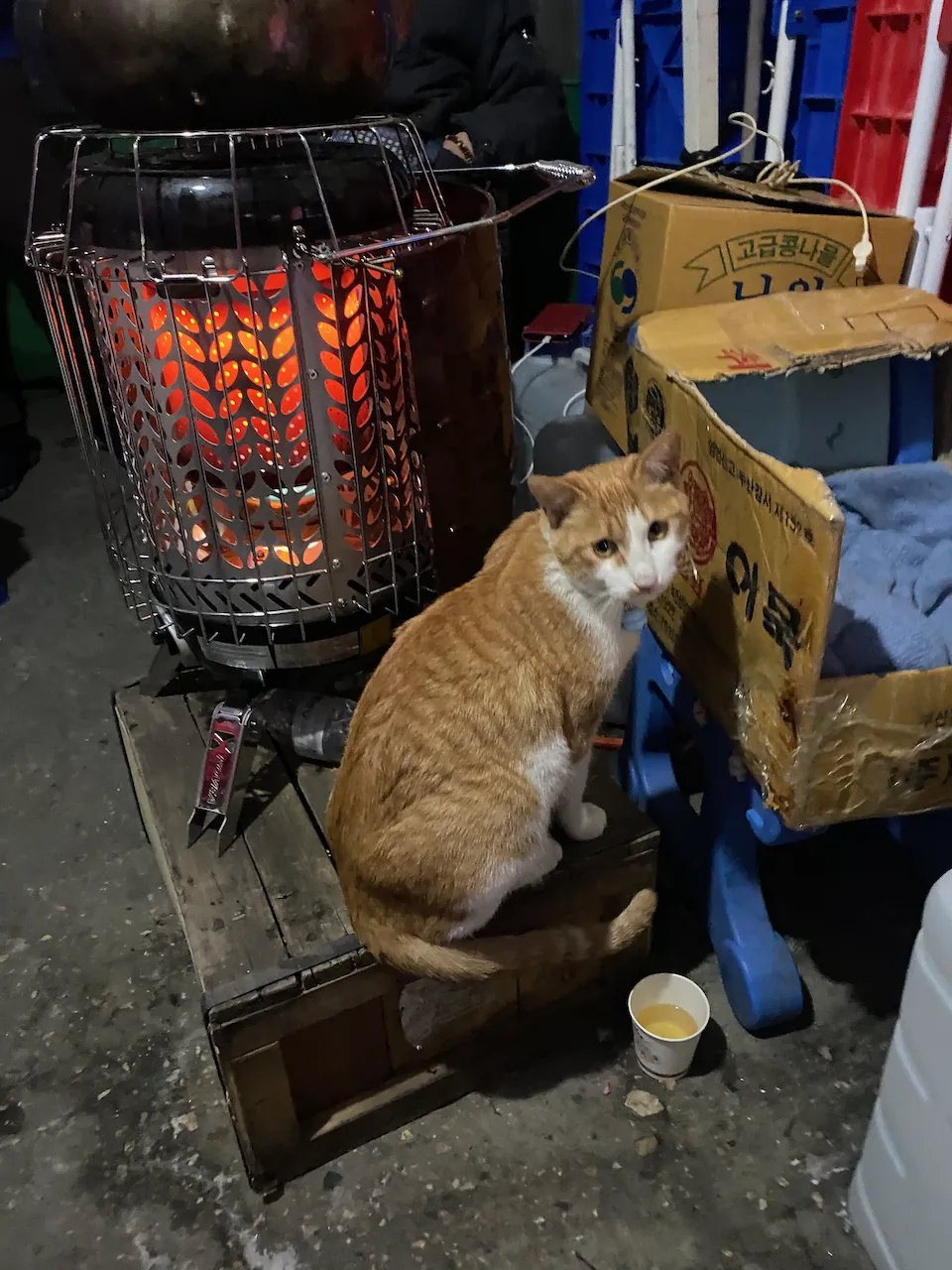 예술해방전선 활동 기록 사진 IMG 2857